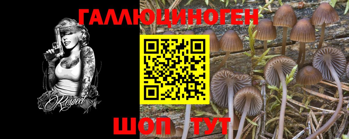 Псилоцибиновые грибы ЛСД Саянск