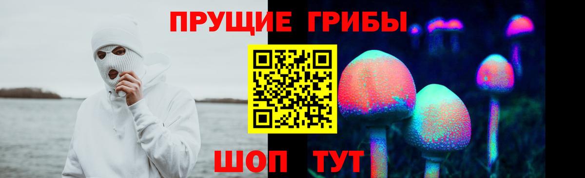 Саянск  как найти закладки  Вход с VPN  Псилоцибиновые грибы Magic Shrooms 
